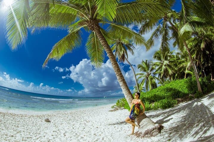 Private VIP Saona Island Tour: Snorkel with Turtles & Swim with Starfish photo 1