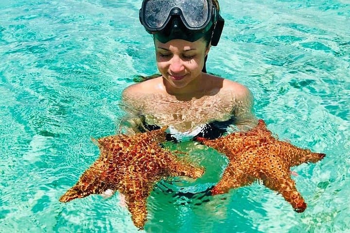 Private VIP Saona Island Tour: Snorkel with Turtles & Swim with Starfish photo 4