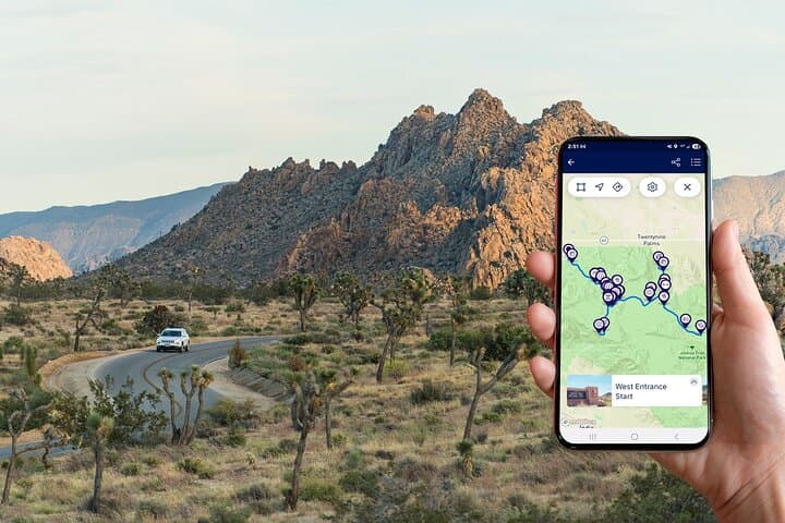 Drive & Discover: Self-Guided Audio Tour Through Joshua Tree National Park