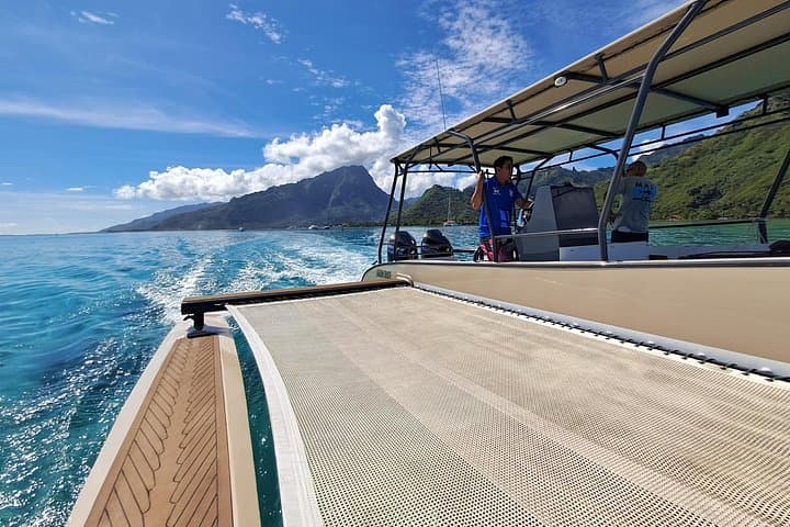 Moorea Lagoon Cruise and Snorkel: 3-Hour Opunohu Bay Tour photo 1