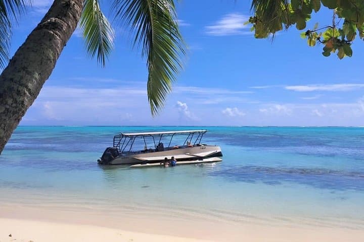 Moorea Lagoon Cruise and Snorkel: 3-Hour Opunohu Bay Tour photo 3