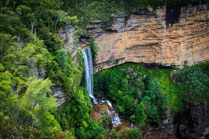 Three-Day Blue Mountains Scenic Tour from Sydney — Scenic World, Katoomba & Wildlife photo 3