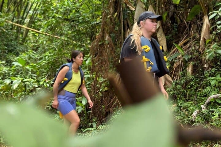 Off-the-Beaten-Path El Yunque Rainforest Guided Hike with Natural Pools photo 5