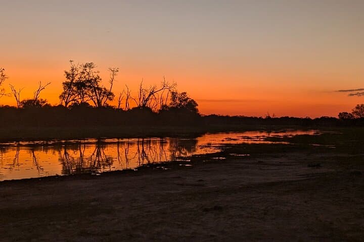 Mobile Camping Safari in Maun: 4-Day Guided Okavango Wildlife Adventure