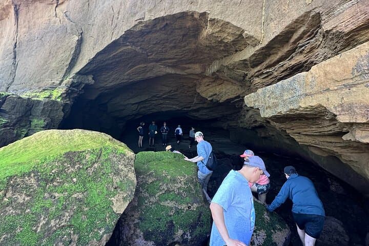 Sunset Cliffs Meditation Experience: Guided Breathwork on Point Loma's Coastal Bluffs photo 4