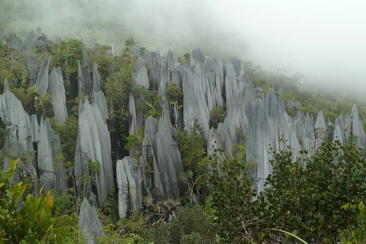 Mulu Pinnacles: 3-Day, 2-Night Hiking Challenge to Gunung Api
