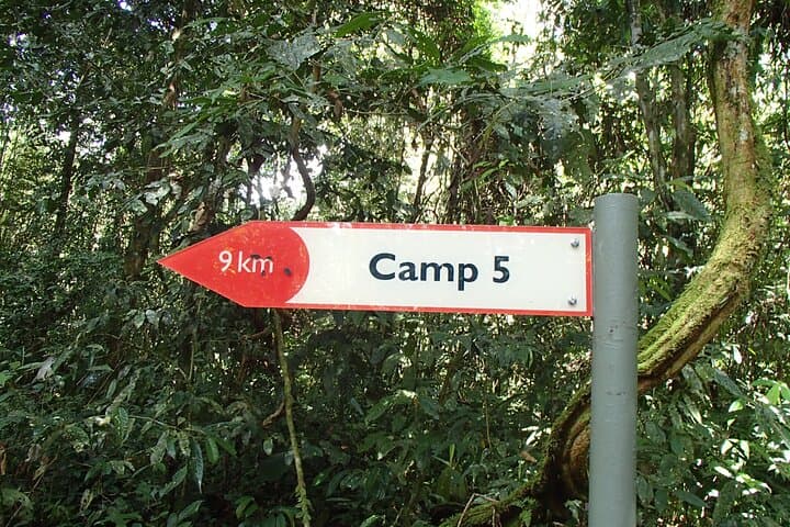 Mulu Pinnacles: 3-Day, 2-Night Hiking Challenge to Gunung Api photo 3