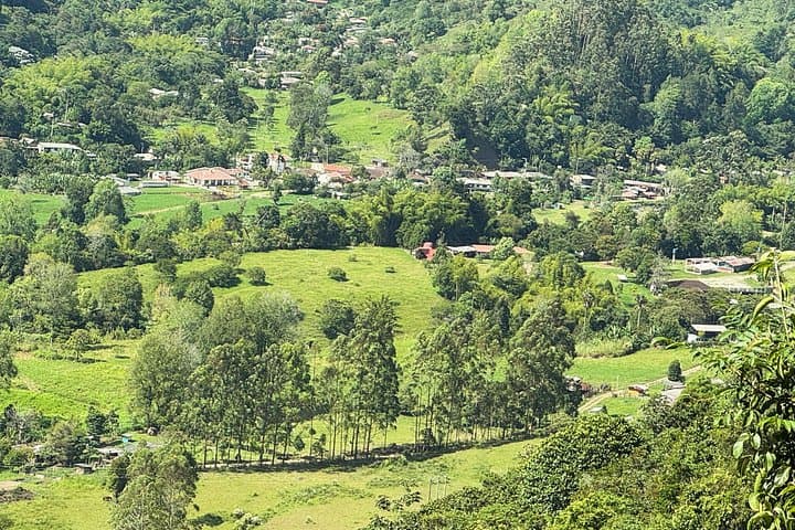 Cocora Valley & Salento Coffee Farm Day Tour — Wax Palms, Hikes & Tasting photo 4
