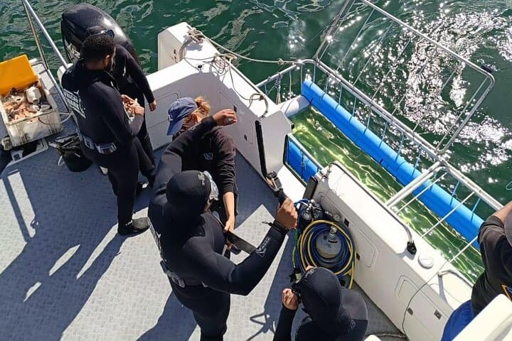 Shark Cage Diving in Cape Town: Hookah Cage Experience at Seal Island photo 4
