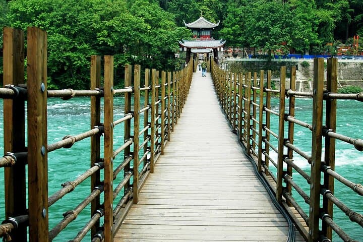 Dujiangyan Irrigation System and Panda Base Day Tour from Chengdu photo 3