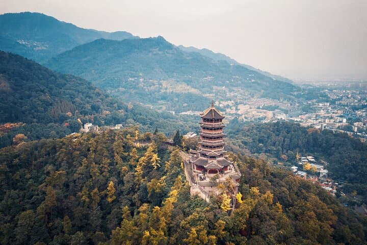 Dujiangyan Irrigation System and Panda Base Day Tour from Chengdu photo 4