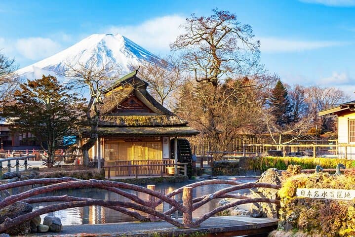 Mt. Fuji Scenic Day Tour: Chureito Pagoda, Oshino Hakkai & Lake Kawaguchi Views
