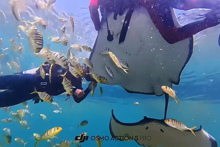 Sanya PADI Open Water Diving Package at Fenjiezhou Islet — Two-Dive Day Trips from Haitang Bay