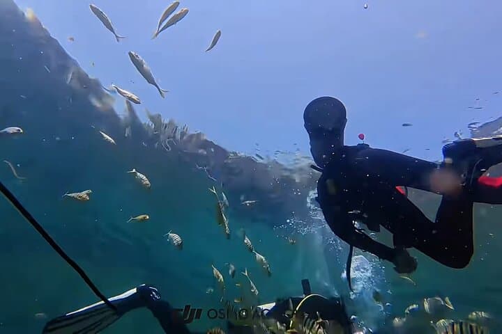 Sanya PADI Open Water Diving Package at Fenjiezhou Islet — Two-Dive Day Trips from Haitang Bay photo 6