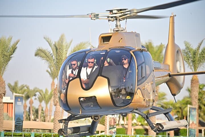 Dubai Helicopter Tour and Inside Burj Al Arab Guided Experience: Palm Jumeirah Aerial Views & Royal Suite Access photo 4