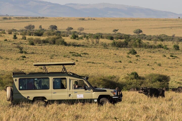 3-Day Private Masai Mara Safari: Big Five Game Drives & Maasai Village Visit photo 2