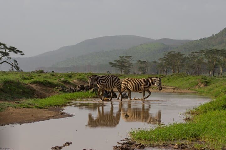 3-Day Private Masai Mara Safari: Big Five Game Drives & Maasai Village Visit photo 4
