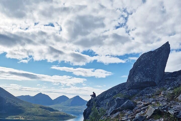 Tromsø Midnight Sun Fjord Adventure: Fjords, Wildlife & Seaside Lunch photo 6