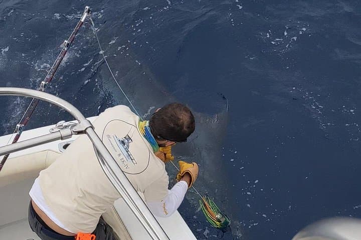 Macaronesia Charter Fishing in Lanzarote: Bluefin, Marlin & Tuna Expeditions photo 3