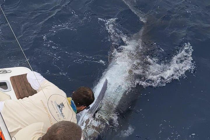 Macaronesia Charter Fishing in Lanzarote: Bluefin, Marlin & Tuna Expeditions photo 4