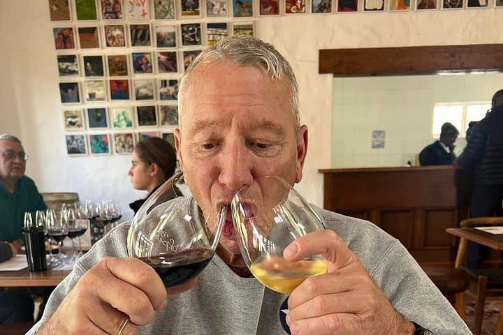 Private Stellenbosch and Franschhoek Wine Tour — Full-Day Paarl to Lanzerac Tasting photo 3