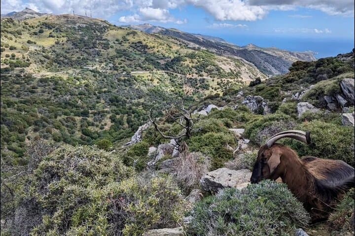 Hike Mount Zas on Naxos: Summit, Zeus Cave & Panoramic Aegean Views photo 3