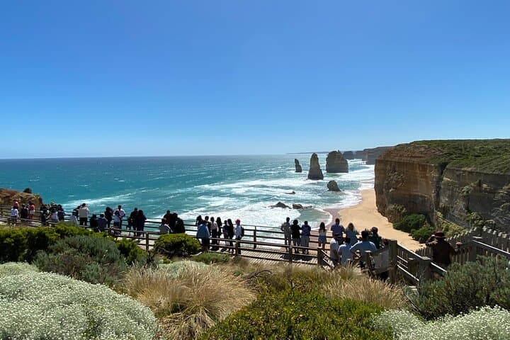 Great Ocean Road Day Tour from Melbourne (Spanish Guide) — 12 Apostles & Otway Rainforest photo 1