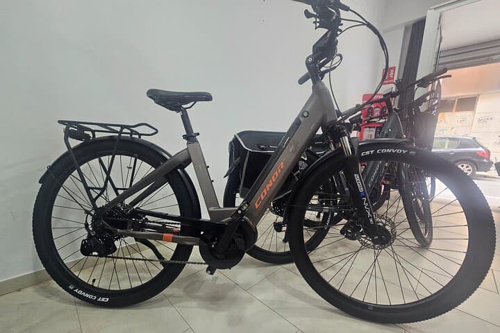 Bike Rentals in Malaga: Explore the Costa del Sol by Two Wheels photo 4