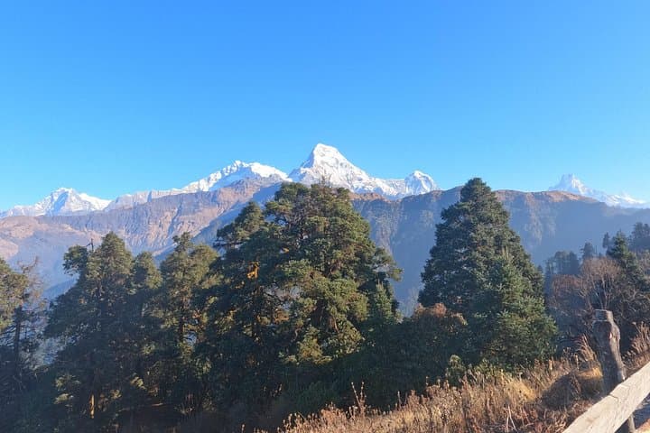Poon Hill Trek: 4-Day Ghorepani Sunrise Trek from Pokhara photo 4