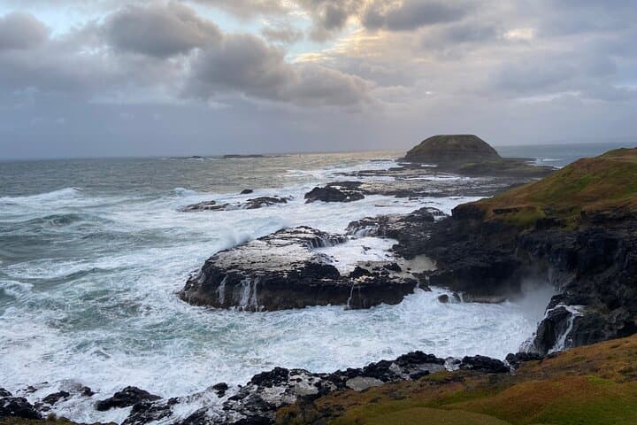 Phillip Island Penguin Parade & Wildlife Tour (Spanish Guide) photo 4