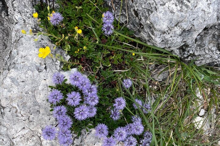 Guided Hike in the Kalkkögel: Day Trek from Innsbruck to Axams photo 3