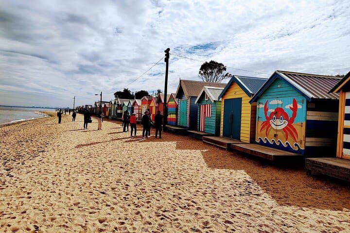 Explore Melbourne's Iconic Sights on a Guided City Tour