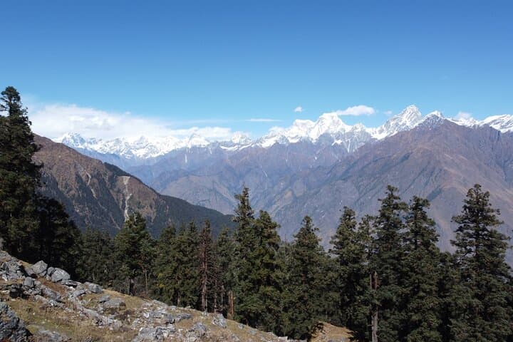 Kuari Pass Trek: Lord Curzon Trail to Panoramic Himalayan Summits