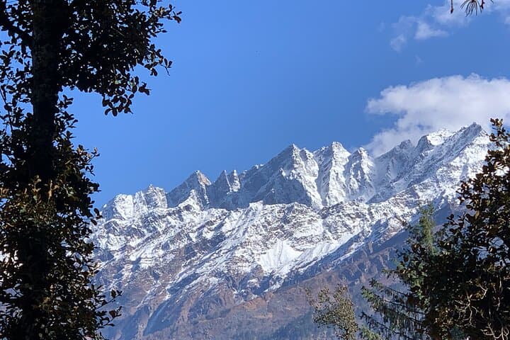 Kuari Pass Trek: Lord Curzon Trail to Panoramic Himalayan Summits photo 3