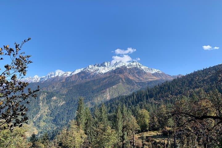 Kuari Pass Trek: Lord Curzon Trail to Panoramic Himalayan Summits photo 4
