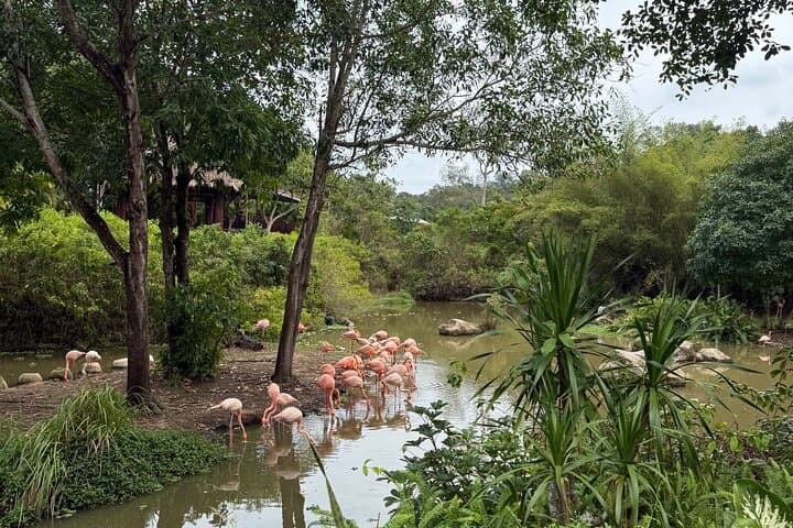 VinWonders & Vinpearl Safari Phu Quoc: Full-Day Private Tour Guide photo 4