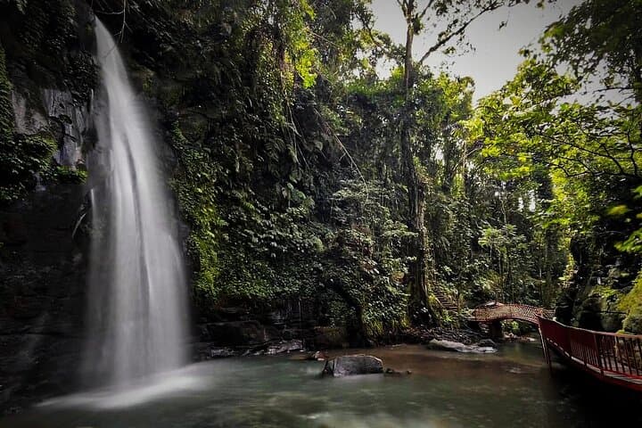Ubud Waterfalls, Rice Terraces & Tirta Empul: A Day Tour from Ubud photo 6