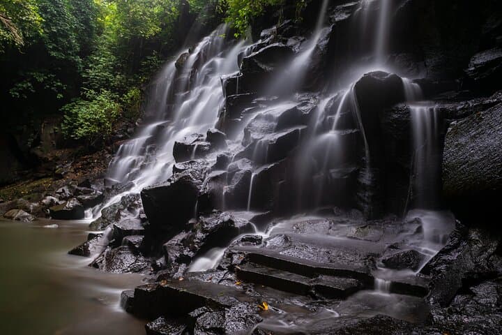 Ubud Waterfalls, Rice Terraces & Tirta Empul: A Day Tour from Ubud photo 4