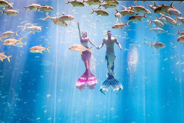 VinWonders & Vinpearl Safari Phu Quoc: Full-Day Private Tour Guide