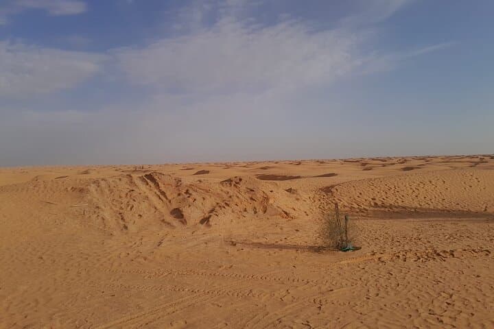 Ksar Ghilane and Tataouine: Sahara Day Trip to Oasis, Ksours & Star Wars Sites photo 3