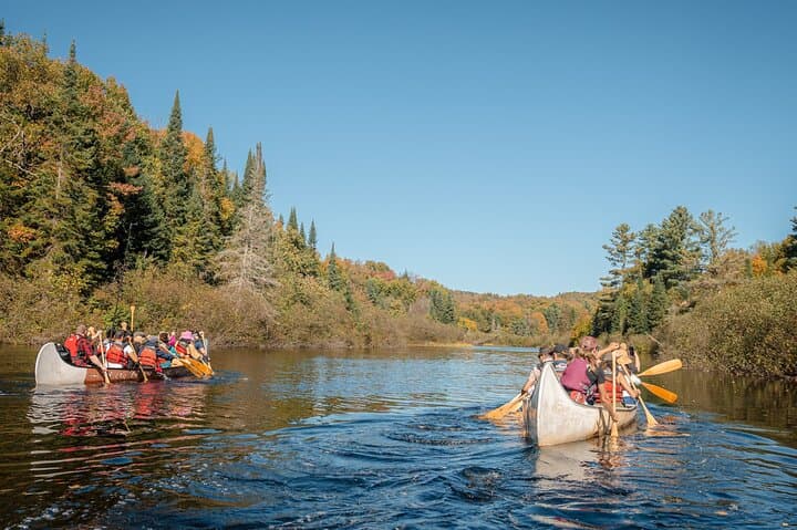 Algonquin Park & Ragged Falls Hike and Canoe Day Trip from Toronto