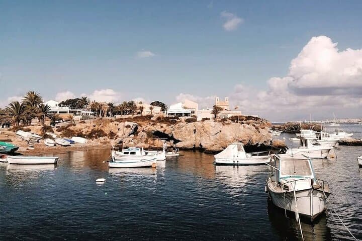 Alicante to Tabarca, Santa Pola & the Pink Lagoon — Full Day Coastal Tour photo 1