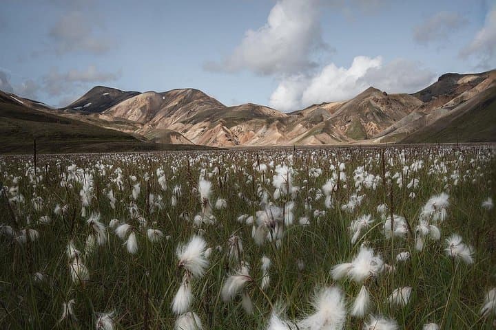 Landmannalaugar Hiking, Háifoss Waterfall & Nature Bath Day Tour from Reykjavik photo 4