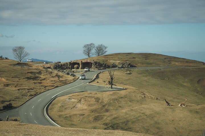 Beppu African Safari & Hells Private Tour — Drive-Through Wildlife and Hot Spring Views photo 3