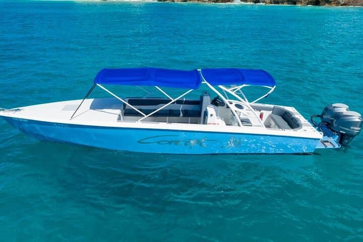 Private Snorkeling Charter to Pinel, Tintamarre & Creole Rock — St. Maarten Day Cruise photo 2