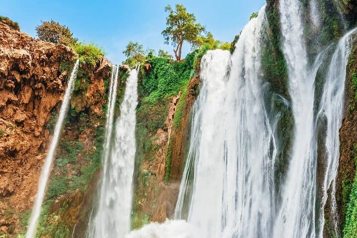 Ouzoud Waterfalls Day Tour from Marrakech — Boat Rides, Monkeys & Berber Lunch photo 5