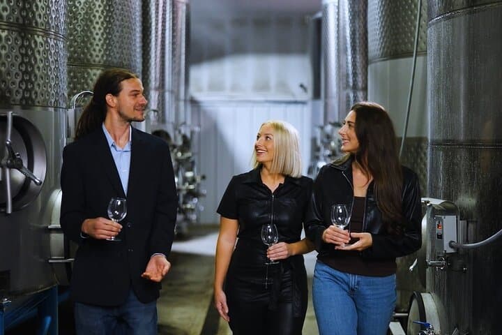 Chattanooga Wine Tasting & Bluff View Art Sightseeing Tour photo 3