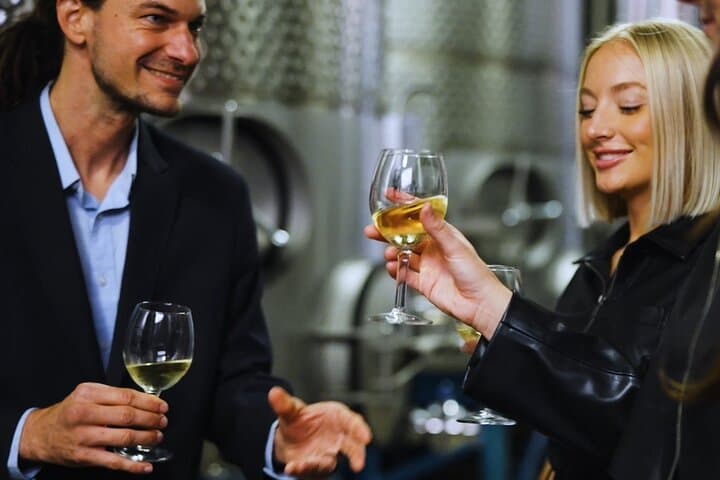 Chattanooga Wine Tasting & Bluff View Art Sightseeing Tour photo 5