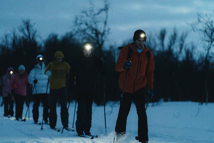 Tromsø Cross-Country Ski Lesson with Olympic-Coached Technique photo 2