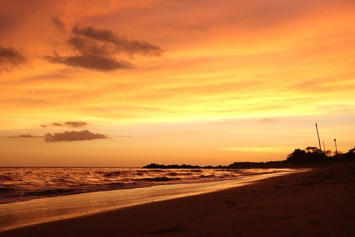 Sunset Turtle Release at Camp Tortuguero: Puerto Vallarta Conservation Experience photo 6